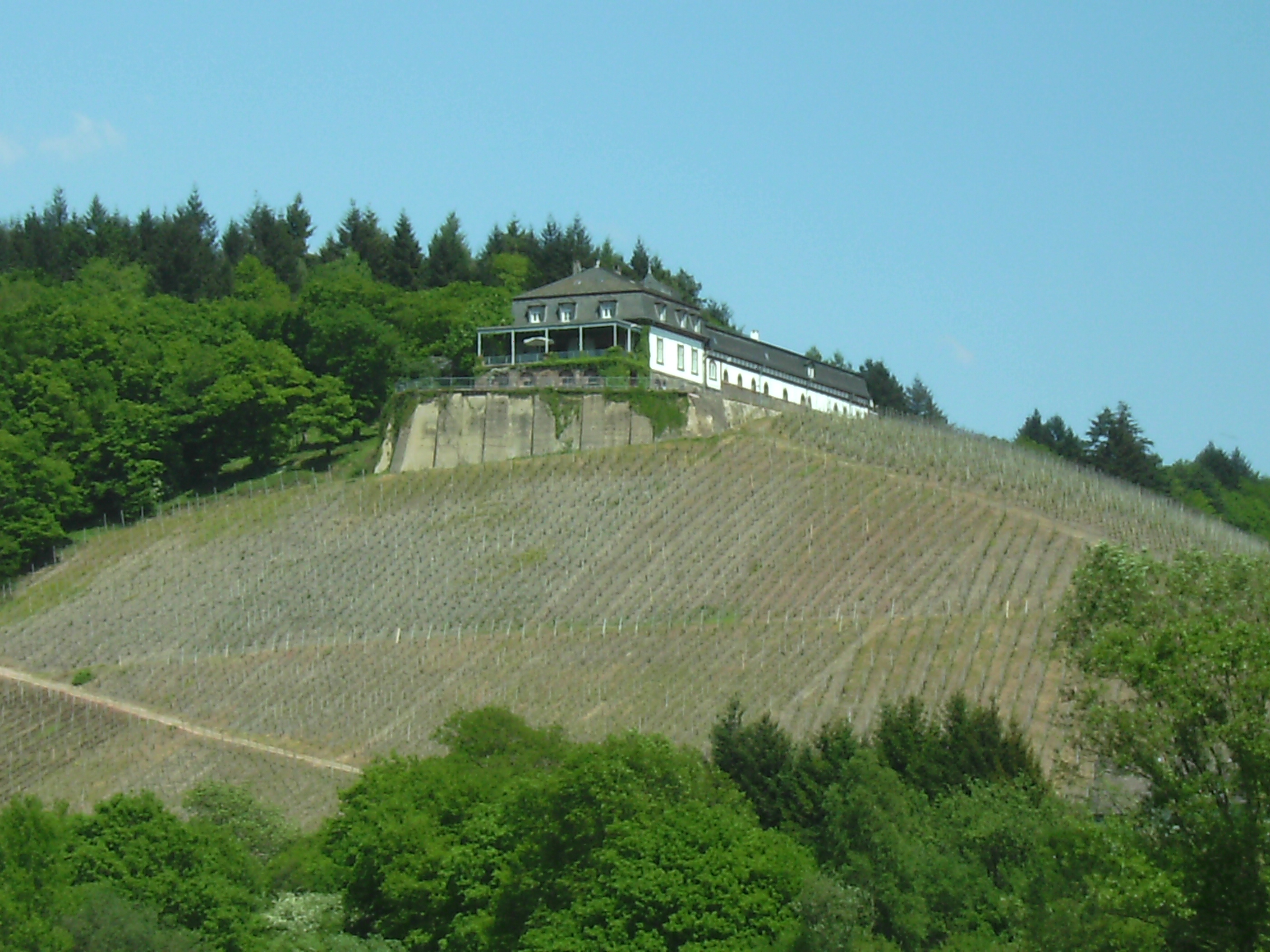 Weingut Schloss Saarstein, Serrig