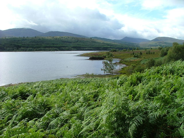 File:Shoreline of Loch Garry - geograph.org.uk - 233488.jpg