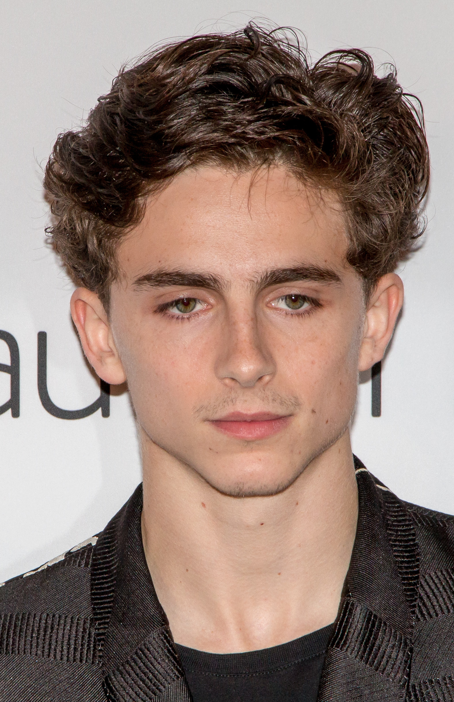 Timoth%C3%A9e_Chalamet_in_2018_(cropped)