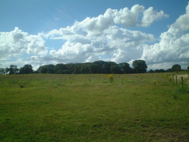 Towards Berry Mound - geograph.org.uk - 518064