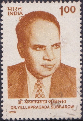 File:1472-Dr.-Yellapragada-Subbarow-India-Stamp-1995.jpg