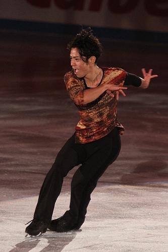 File:2010 NHK Trophy Gala - 1951a.jpg