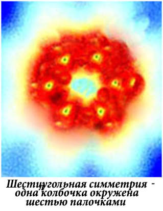 File:Berkeley-hexagonal simetriy(1).jpg