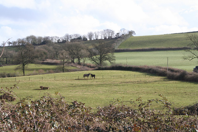 File:Bradninch, at Trinity - geograph.org.uk - 122036.jpg