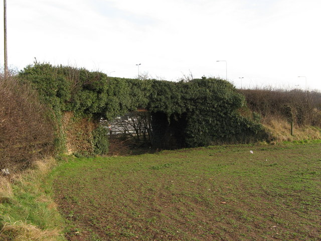 File:Bridge over disused Midland railway route from Basford to Watnall - geograph.org.uk - 1142105.jpg