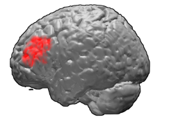 <span class="mw-page-title-main">Brodmann area 46</span> Brain area