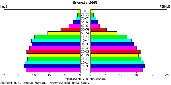 File:Brunei population pyramid 2005.png