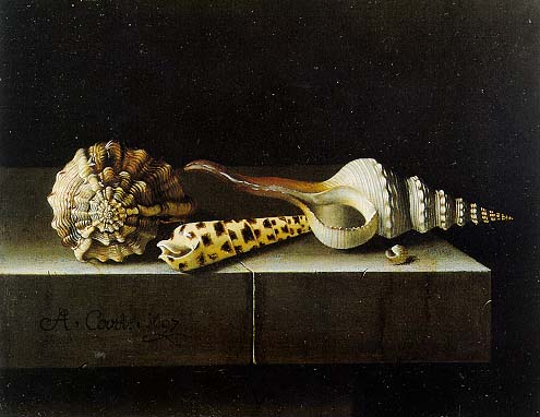 https://upload.wikimedia.org/wikipedia/commons/c/cd/Coorte%2C_Adriaen_-_Still_Life_with_Shells_-_1697.jpg