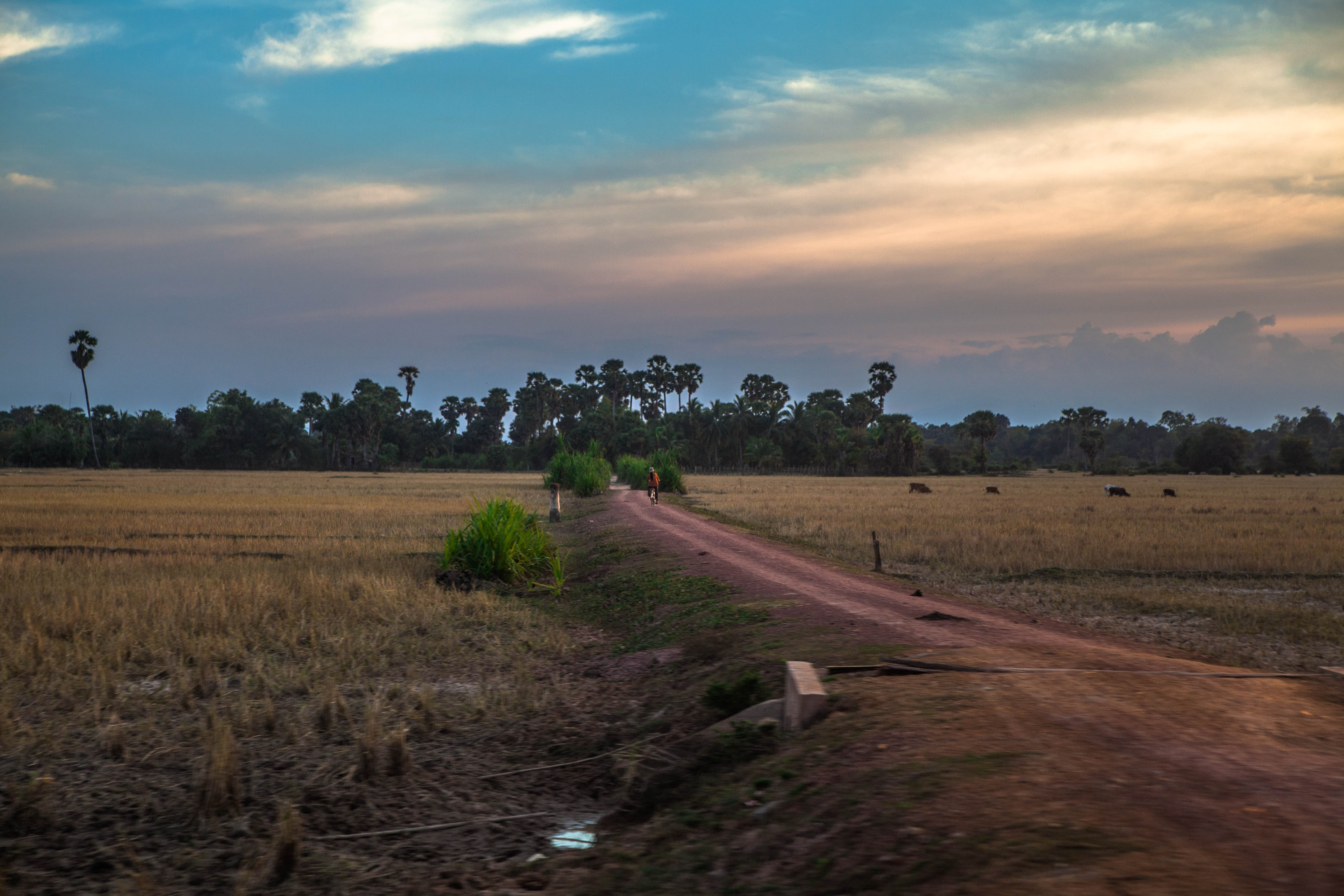 Dirt path