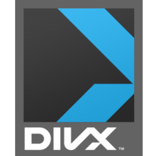 File:DivX container.png