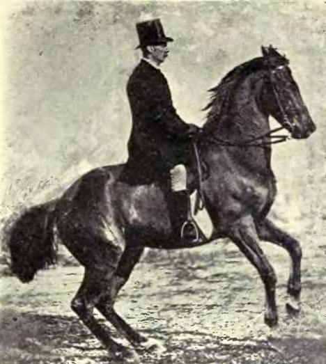 File:Equitation images fig-075.jpg