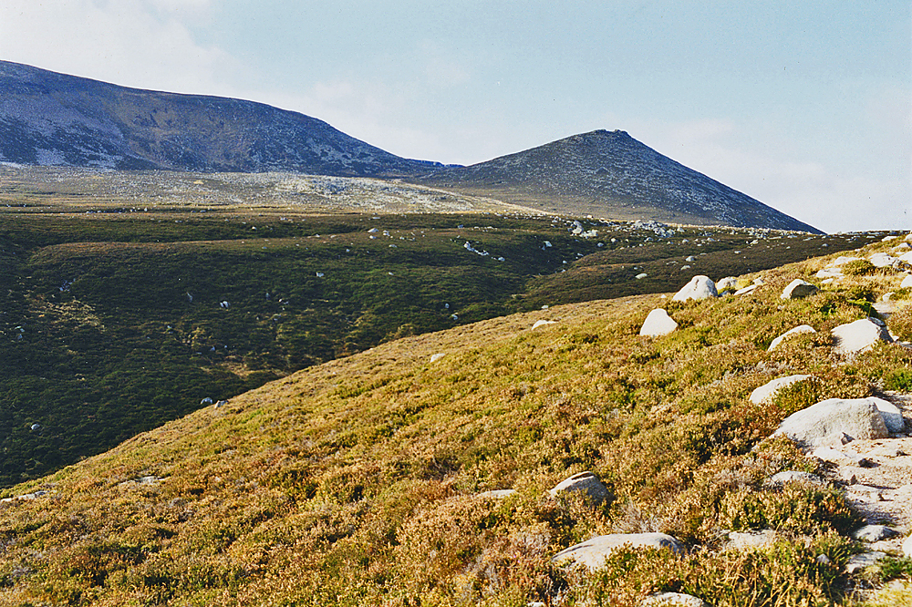 Hillside by the Clais Rathadan - geograph.org.uk - 762448