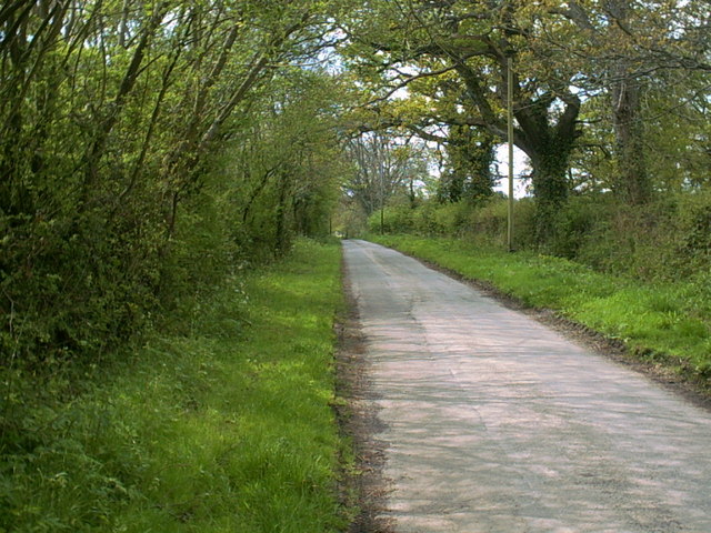 File:Horsington Marsh - geograph.org.uk - 306396.jpg