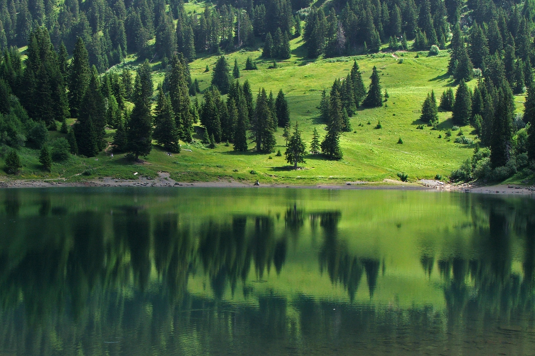 Lac des. Green Alps.