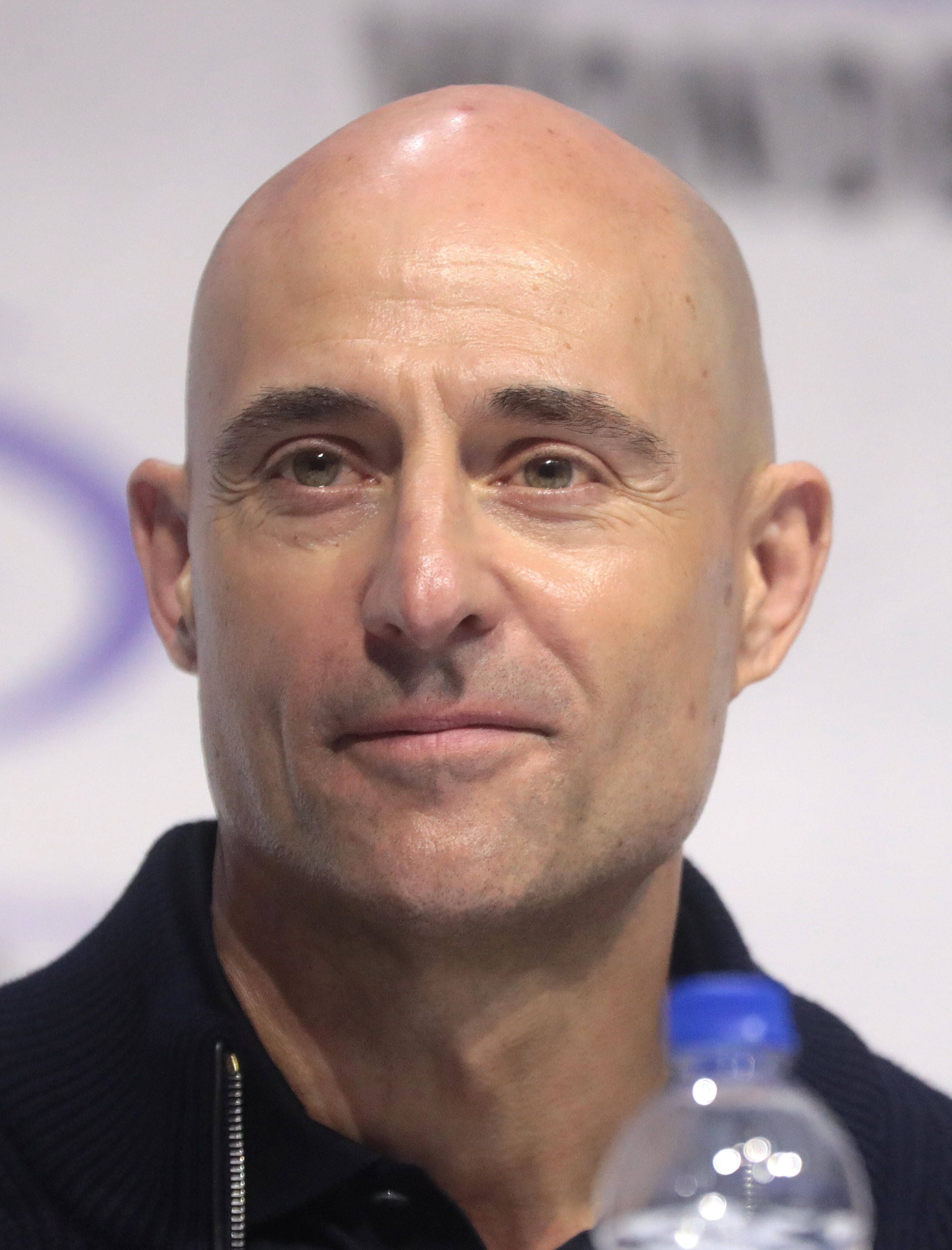 Jeremy Strong Actor Wife - Mark Strong Wikipedia