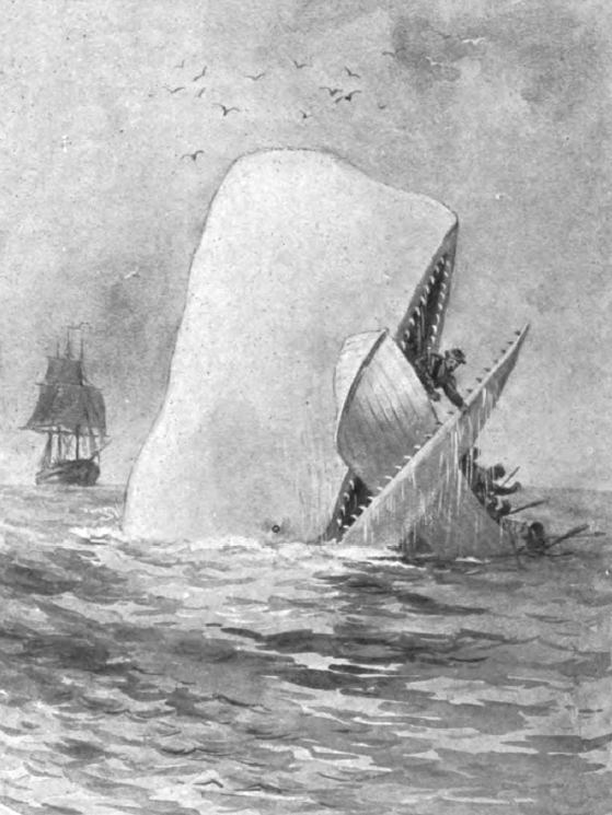 An illustration from Moby Dick of a whale biting a rowboat in two.