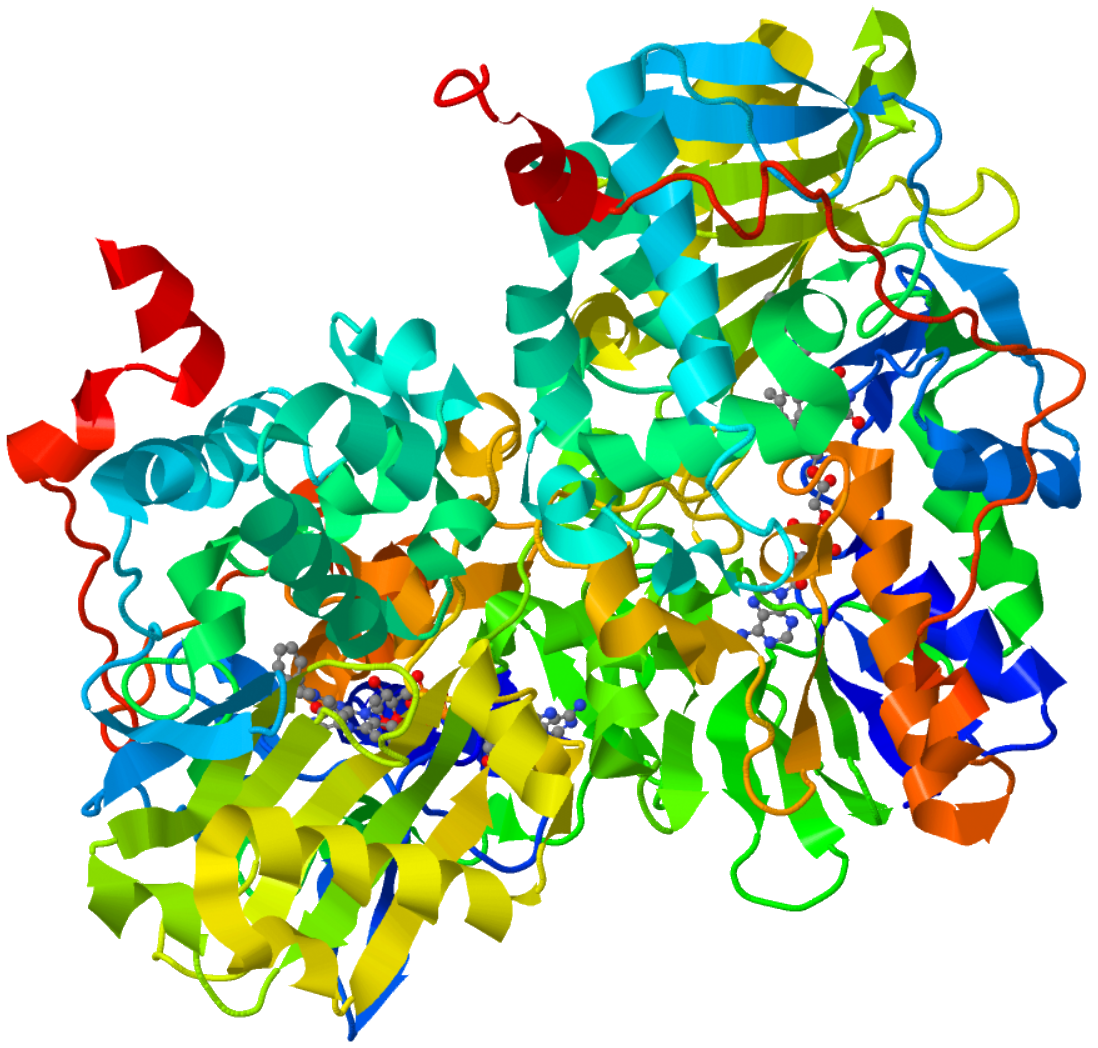 Monoamine Oxidase Inhibitor Wikipedia