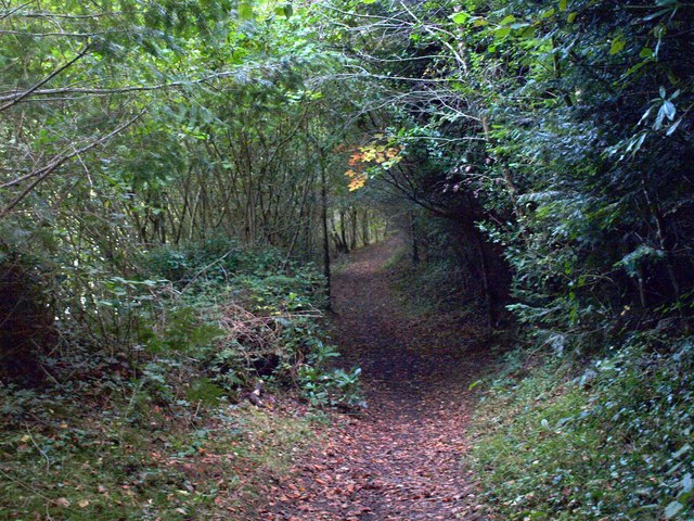 File:Path around Trenchford reservoir - geograph.org.uk - 995558.jpg