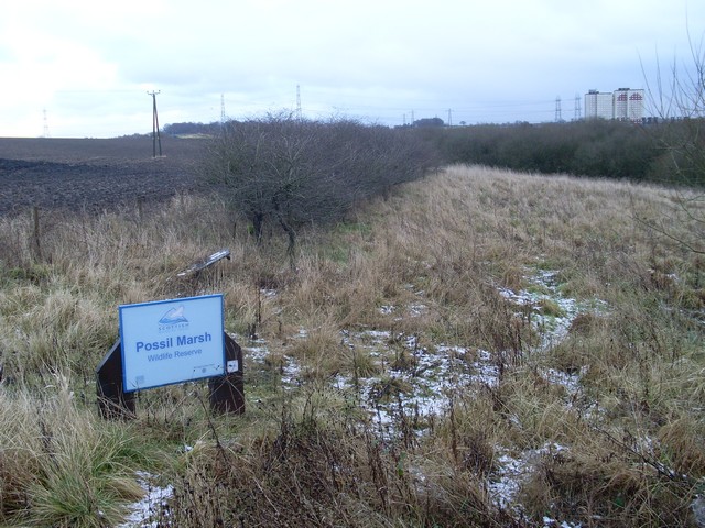 Possil Marsh