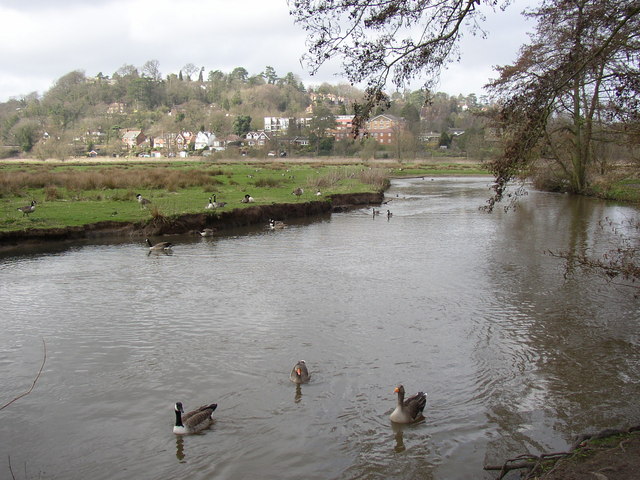 File:River Wey at Godalming - geograph.org.uk - 146006.jpg