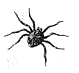 Small Spider Drawing.jpg