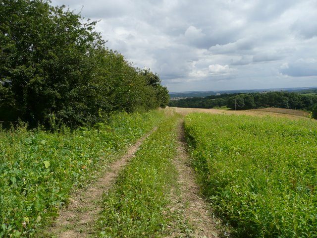 The Barnsley Boundary Walk in the direction of Howbrook - geograph.org.uk - 909342