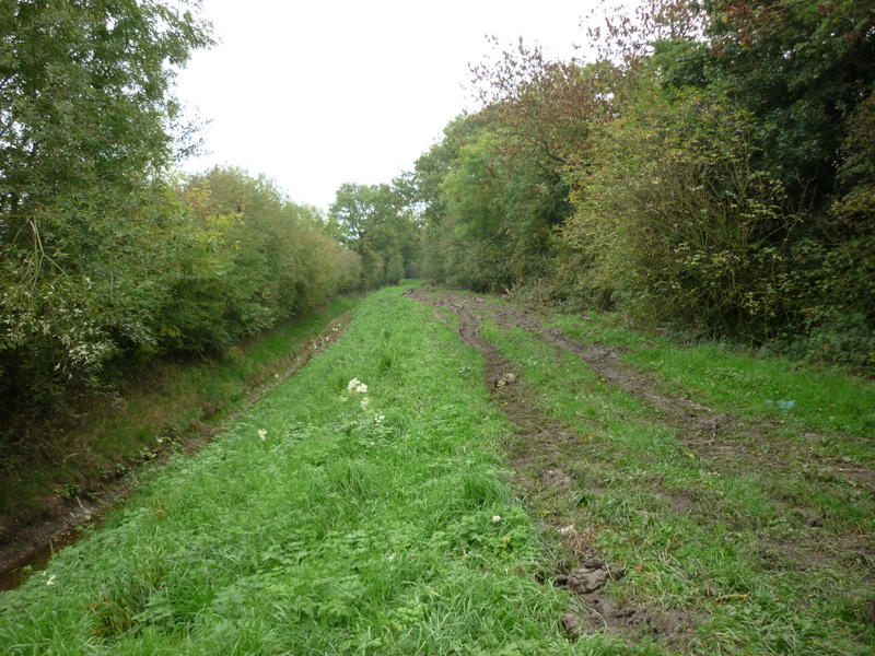 File:The Howden 20 walk goes down this Green Lane (geograph 2112261).jpg