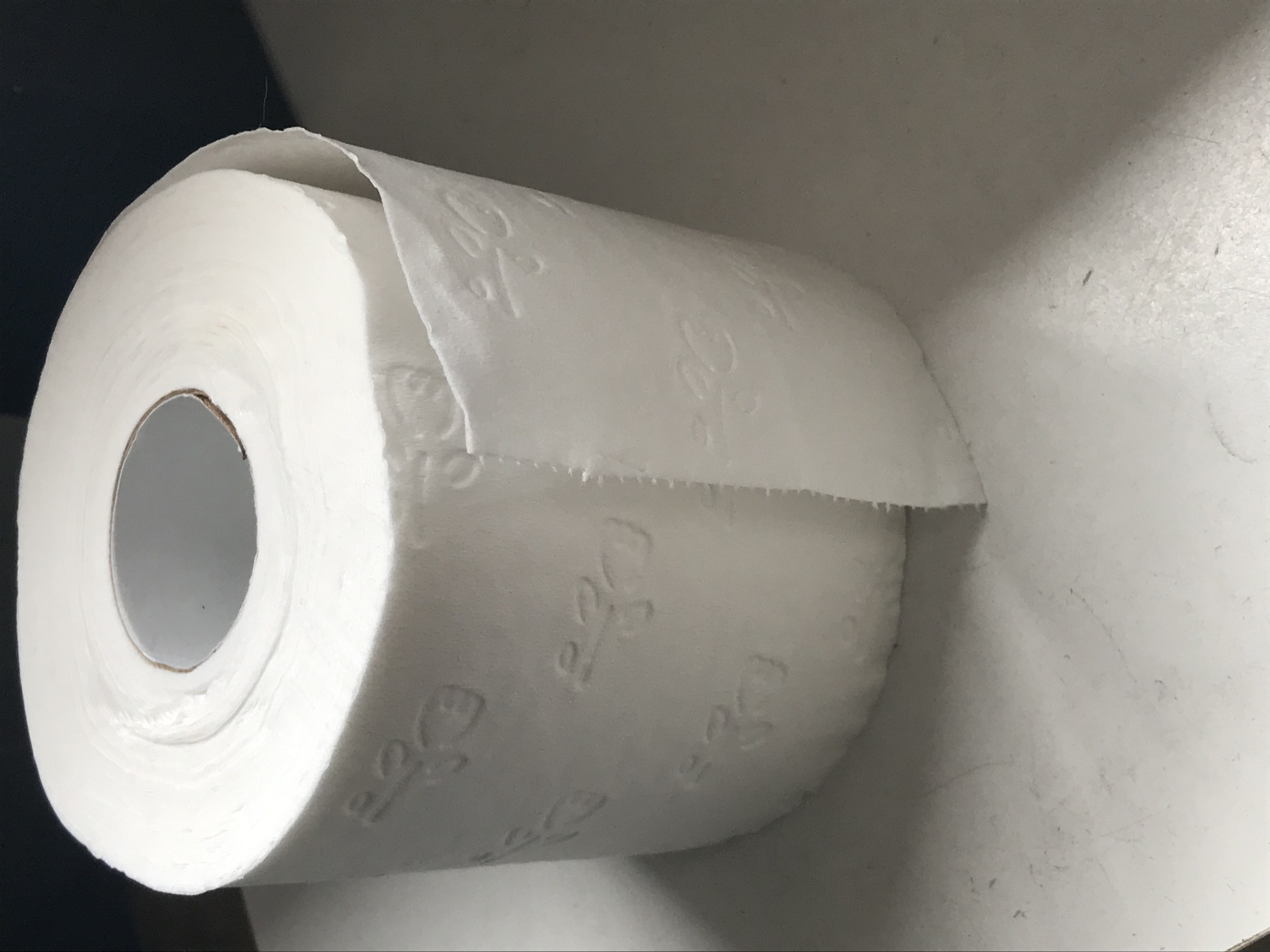 https://upload.wikimedia.org/wikipedia/commons/c/cd/Toilet_paper_roll.jpg