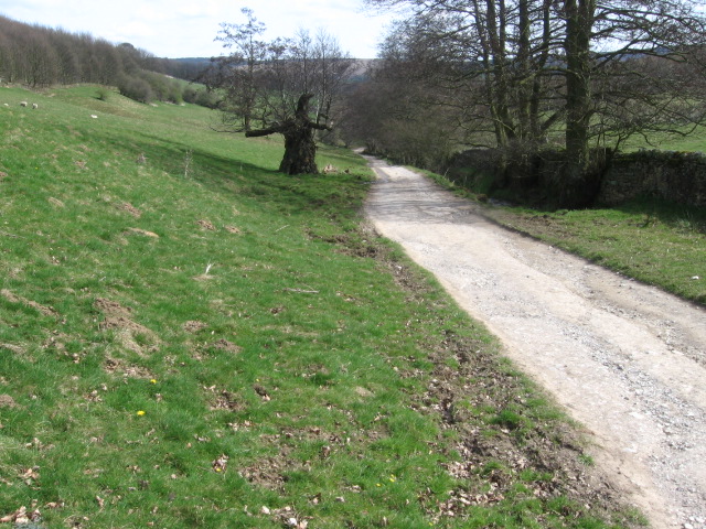 File:Track to Calton Lees - geograph.org.uk - 1237243.jpg