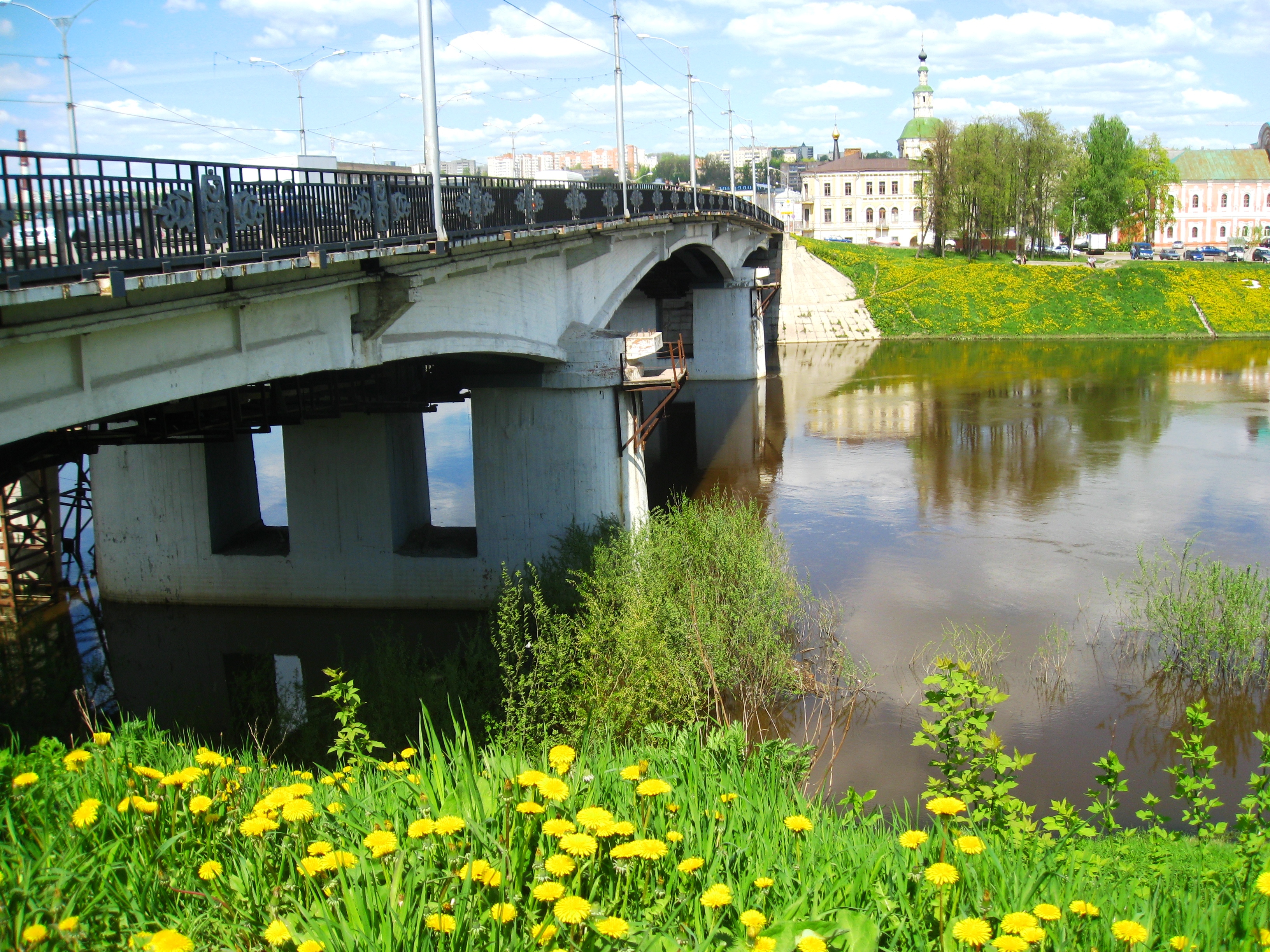 мост в смоленске