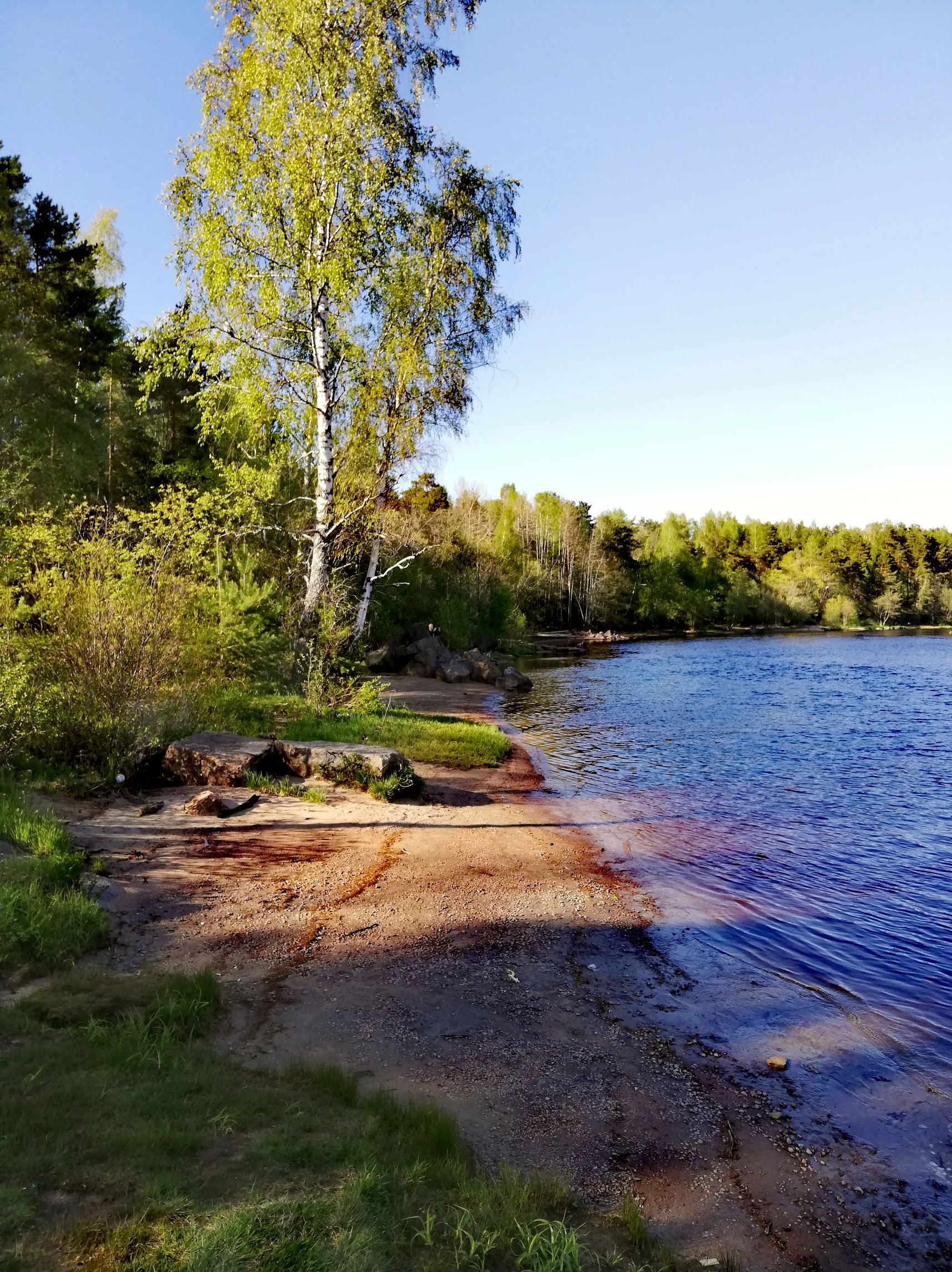 Черная речка череповец фото