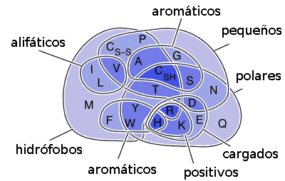 File:Amino Acids Venn Diagram2.png