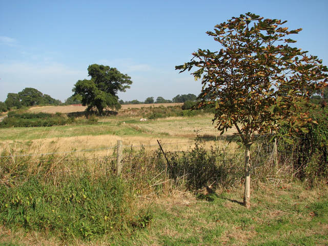 File:Ashby - the site of the deserted village - geograph.org.uk - 1509593.jpg