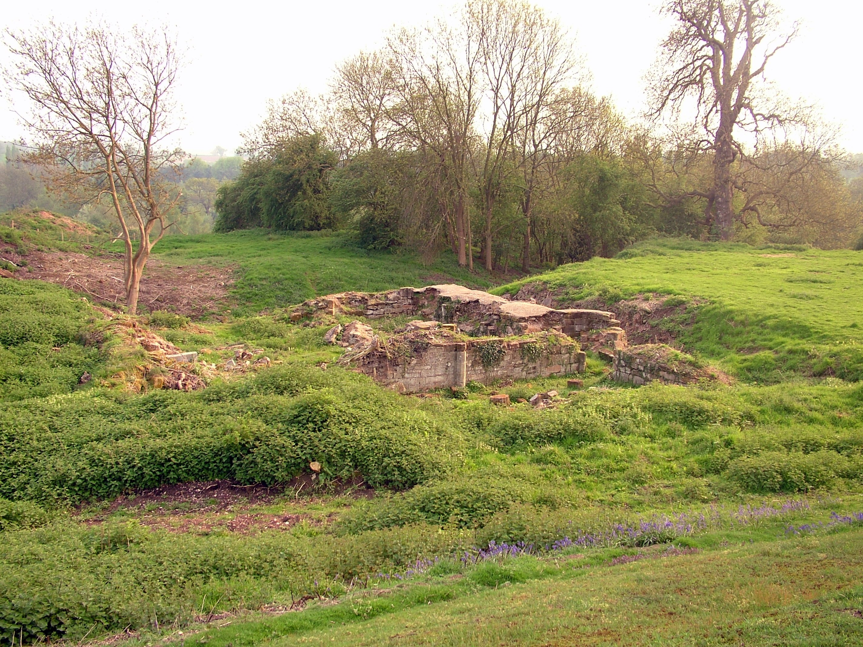 Baginton Castle