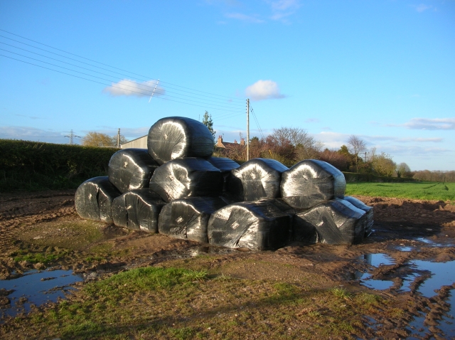 File:Bales at Mount Pleasant Farm - geograph.org.uk - 778844.jpg