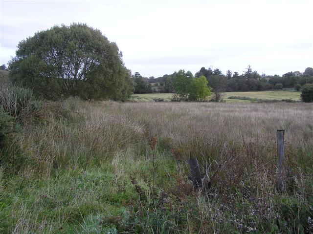 File:Barran Townland - geograph.org.uk - 1504403.jpg