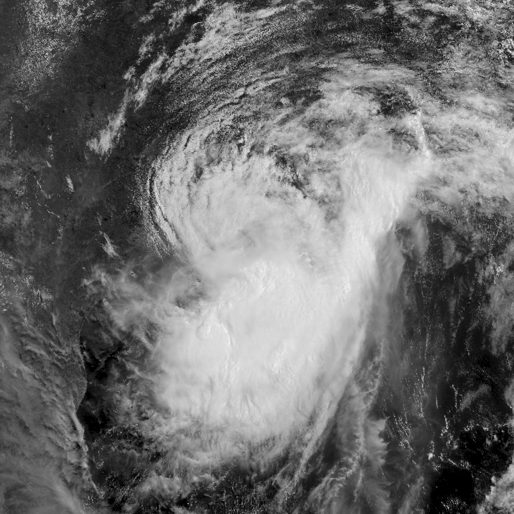 Hurricane Barry (2019) - Wikipedia1024 x 1024