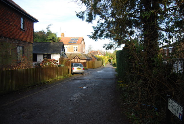 File:Birchetts Avenue - geograph.org.uk - 1608618.jpg