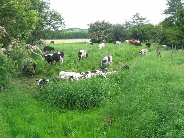 Blue Man's Bower - Rotherham - geograph.org.uk - 180939