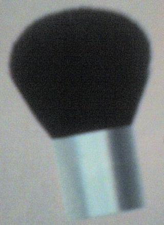 <span class="mw-page-title-main">Kabuki brush</span> Makeup brush