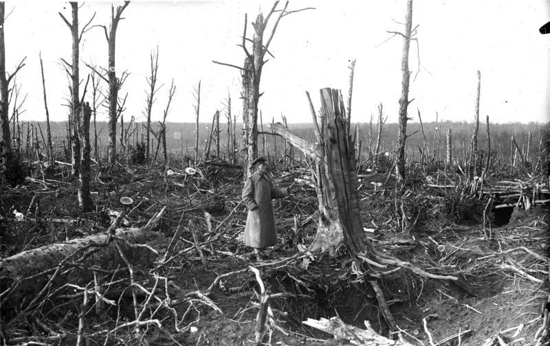 File:Bundesarchiv Bild 104-0158, Argonnen, zerschossener Wald.jpg