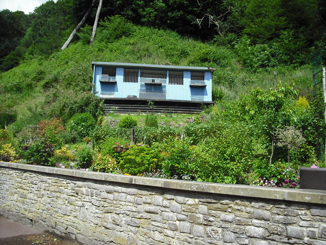 File:Caithness Row, garden - geograph.org.uk - 1363659.jpg