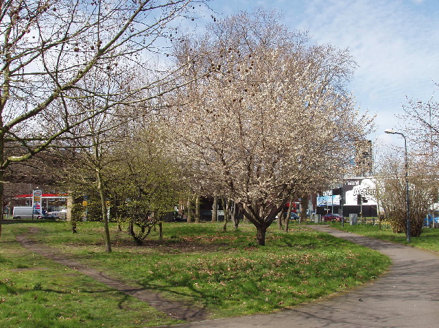 File:Centre of Chiswick Roundabout - geograph.org.uk - 741500.jpg