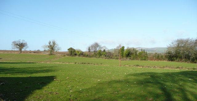 File:Coolgreany Demesne - geograph.org.uk - 705857.jpg