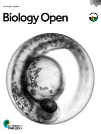 Cover of Biology Open, volume 8, issue 4 (2019).jpg
