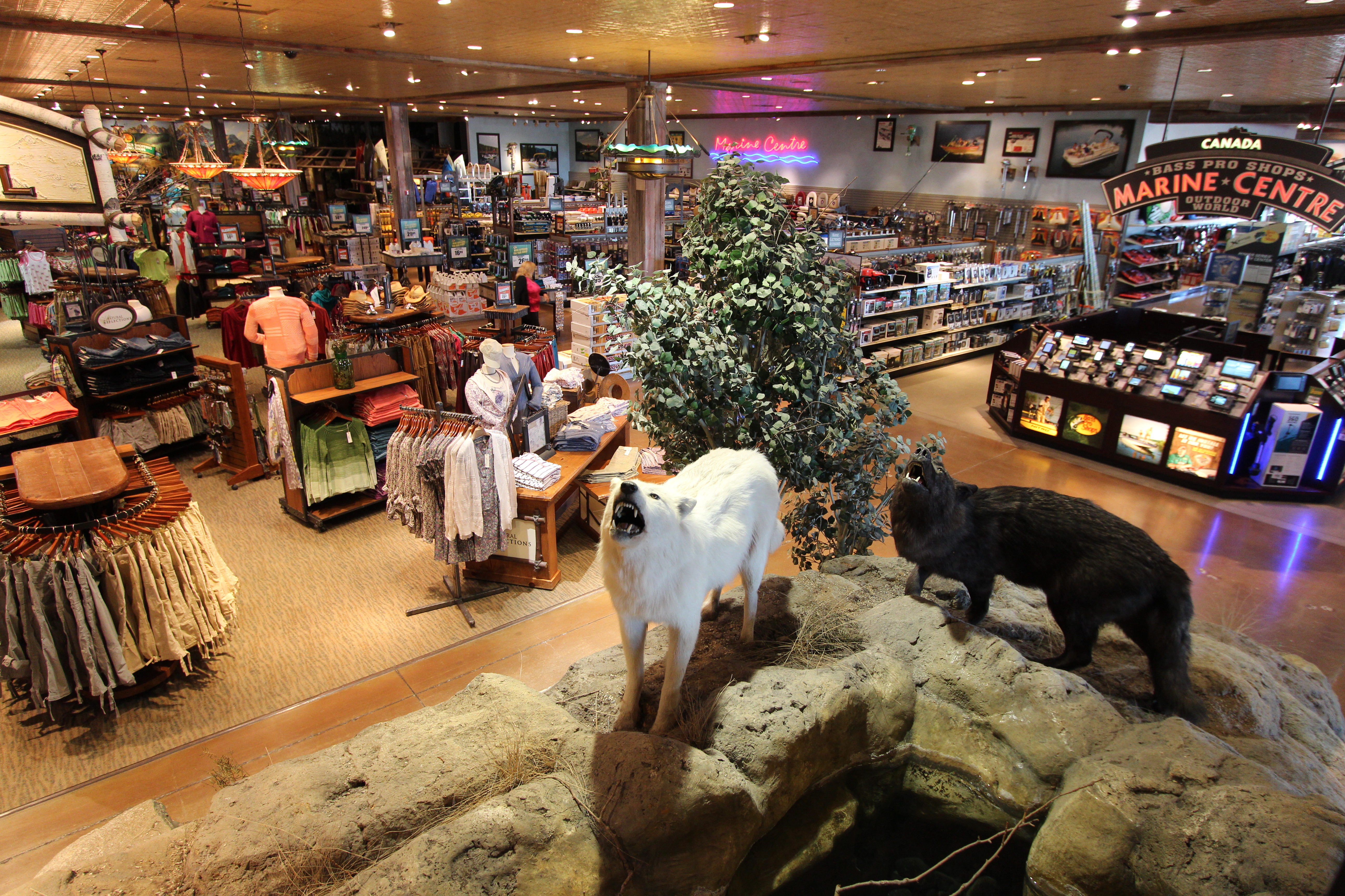 Bass pro shopping. Bass Pro shops интерьер. Супермаркет Bass Pro shops пирамида. Basspro магазин в США. Дизайн магазина Bass Pro shops.