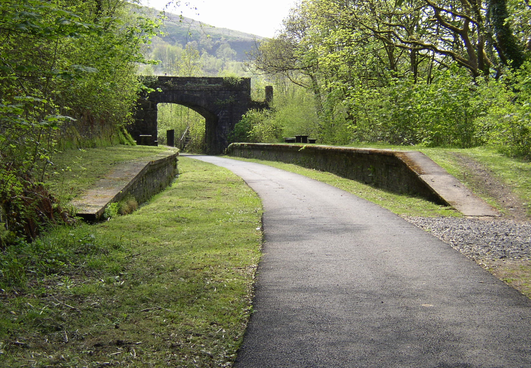 Cynonville Halt railway station