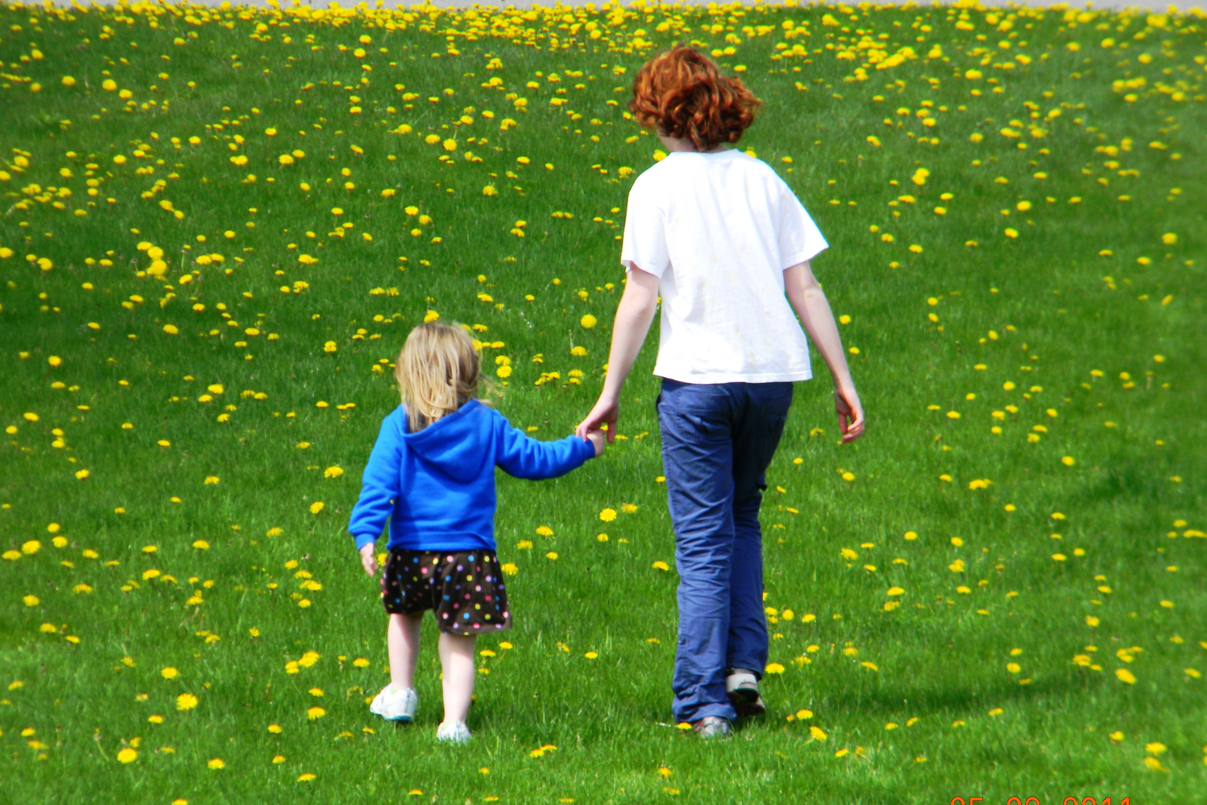 L'appareil génital de la petite fille - Famille Bébé