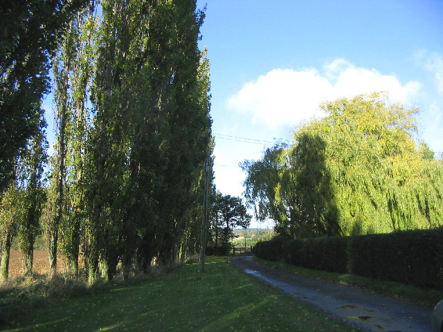 File:Driveway to Crondon Hall, Margaretting Tey, Essex - geograph.org.uk - 68036.jpg