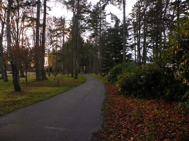 File:Driveway to Moulinard - geograph.org.uk - 1077569.jpg